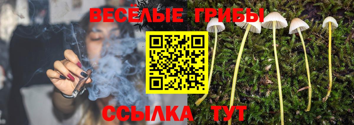 Галлюциногенные грибы прущие грибы Можга