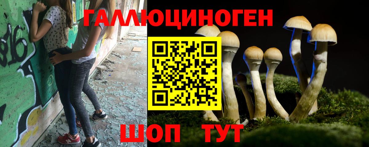 Можга  Галлюциногенные грибы GOLDEN TEACHER  Псилоцибиновые грибы MAGIC MUSHROOMS  Вход с VPN 